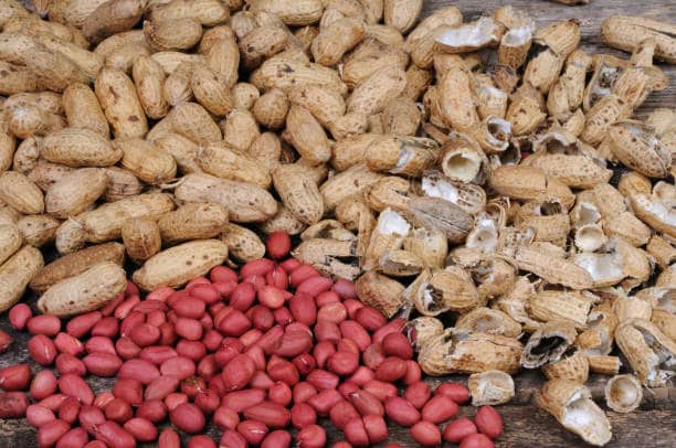 تصویر 1 از فروش بادام زمینی فلفلی + قیمت خرید به صرفه